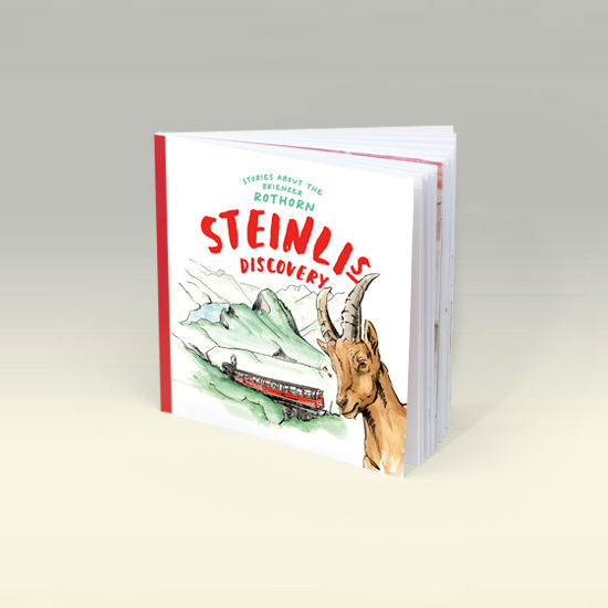 Bild von Steinli's Entdeckung 